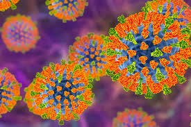 Nipah, gripe K, aviária: as doenças no radar dos infectologistas