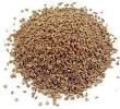Significant Benefits Of Carom Seeds (Ajwain) For Skin, Hair And