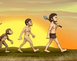 Evolución