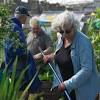 Story image for Best Mobility Accessibility Walking Aids For Sale from Irish Times