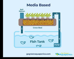 Image of basic aquaponic system with fish tank, grow bed, and water pump