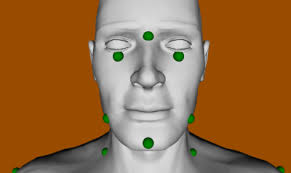 Another external and interesting show-case: Sandy Ressler, National Institute of Standards and Technology, did a nice X3DOM version of the AnthroGloss model ... - AnthroGloss-Human-Body-Landmark-400x238