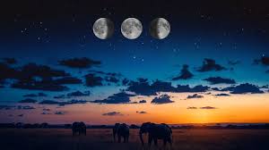 Luna hoy, martes 20 de enero: 