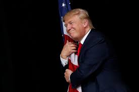 Image result for trump president elect