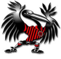 Resultado de imagem para íbis sport club