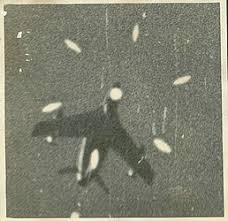 Image result for 1965 india pakistan war