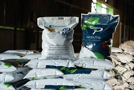 Cooperativa do Cerrado Mineiro realiza exportação inédita de café especial naturalmente descafeinado para o Japão