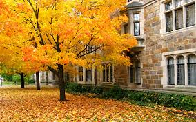 Image result for law quad michigan
