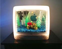 Résultat de recherche d'images pour "mac aquarium"