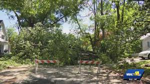 Annapolis storm leaves power outages and road closures