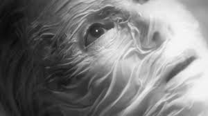 Your Your Daily Horror Digest for July 11, 2025