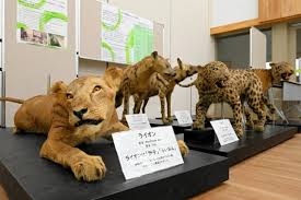 朝日新聞 - News update