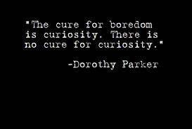 Curiosity Quotes. QuotesGram via Relatably.com