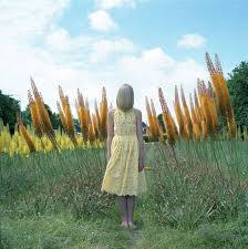 Résultat de recherche d'images pour "hellen van meene"