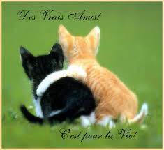 R&eacute;sultat de recherche d'images pour 