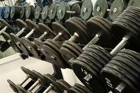 Image result for Free Weight Training