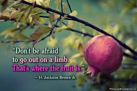 Image result for Image quotes don't be afraid to ask for what you want