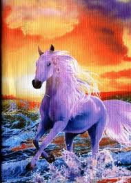 Image result for sunset fabric