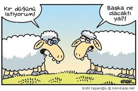 Erdil Yaşaroğlu ile ilgili görsel sonucu