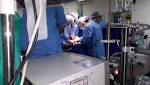 Brain dead patient's heart flown