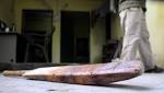 Teenager killed mother, sister Greater