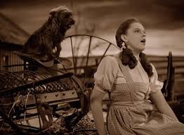 Image result for judy garland somewhere over the rainbow