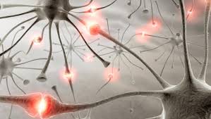 Image result for photo of nerve pain