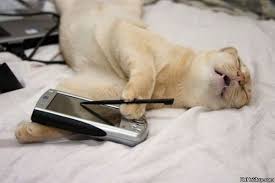 external image images?q=tbn:ANd9GcR9gCm1TenP__a1tQTZr6JH1adUCCPD7YPoO5G-M3roX403_fMArg