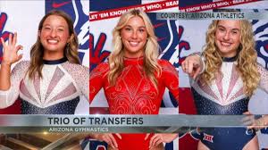 Arizona GymCats add 3 transfers ahead of 2026-27 season