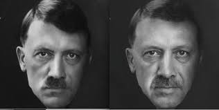 Image result for nazi turkish  flag