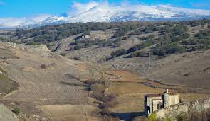 Diario Palentino - News update