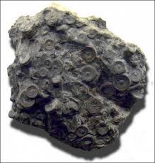 Risultati immagini per oopart