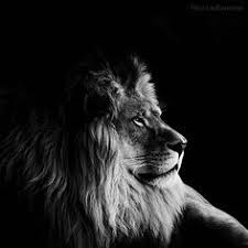 R&eacute;sultat de recherche d'images pour 