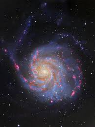 Image result for galaxy m101