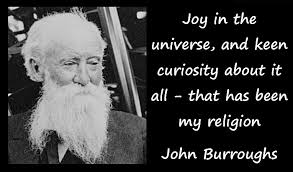 Joy in the Universe - John Burroughs - Daily Atheist Quote via Relatably.com