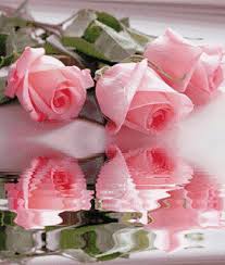 Hasil gambar untuk animasi bunga mekar bergerak