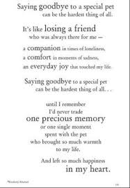 Pet Loss Quotes on Pinterest | Pet Sympathy Quotes, Loss Of Pet ... via Relatably.com