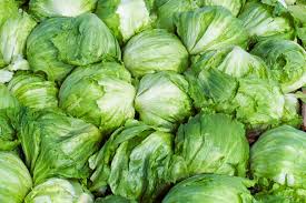 Cyclospora