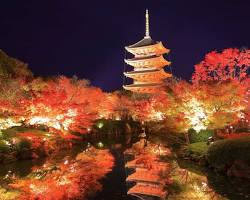 紅葉ライトアップの画像