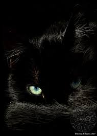 images?q=tbn:ANd9GcRASahSd6mfLOPGrWi023o