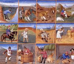 Image result for medieval farming