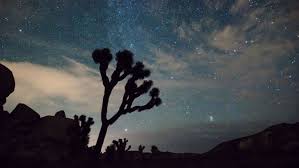 Meteoros, planetas y un cometa visible: Eventos astronómicos de abril 2026 en México según la NASA