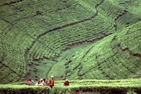 Image result for burundi