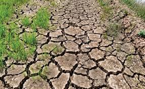 el niño — trending on Google in Philippines