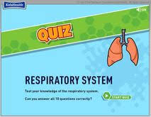 http://www.softschools.com/quizzes/science/respiratory_system/quiz752.html