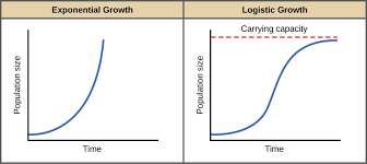 Image result for animal population growth graph