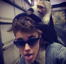 Resultado de imagen para viajes de justin