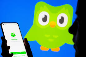 Duolingo Sees AI Features as 'Profitable' Amid Revenue Growth