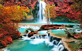Image result for beautifull image