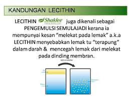 Image result for testimoni lecithin shaklee